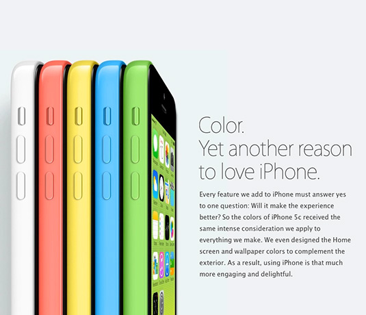 Retina