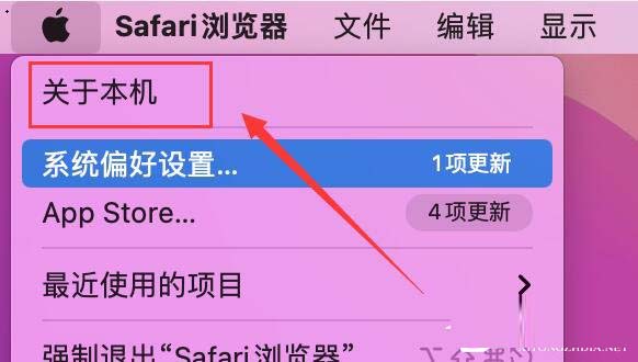 苹果Mac如何查看序列号?