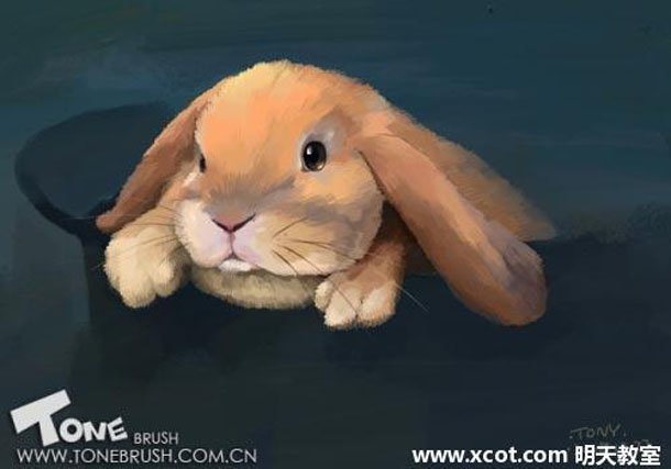 Painter绘制兔子插画 我们 painter教程