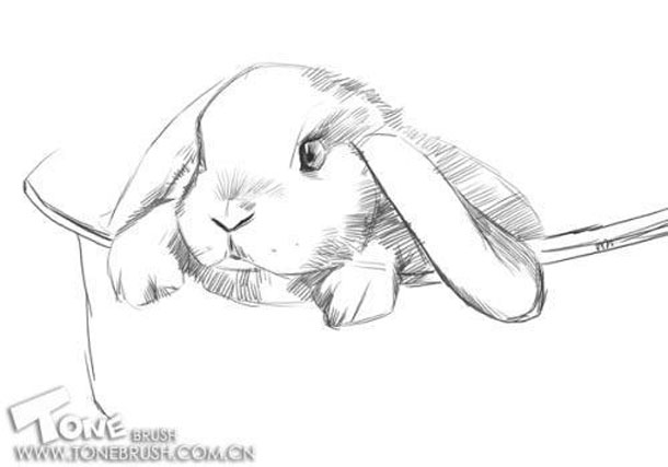 Painter绘制兔子插画 我们 painter教程