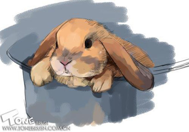 Painter绘制兔子插画 我们 painter教程