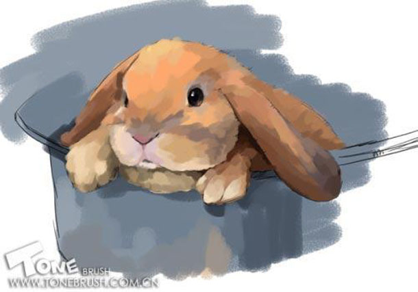 Painter绘制兔子插画 我们 painter教程