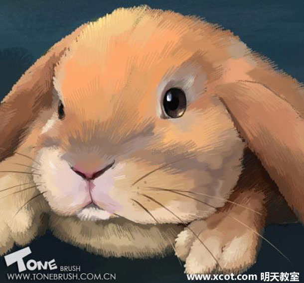 Painter绘制兔子插画 我们 painter教程