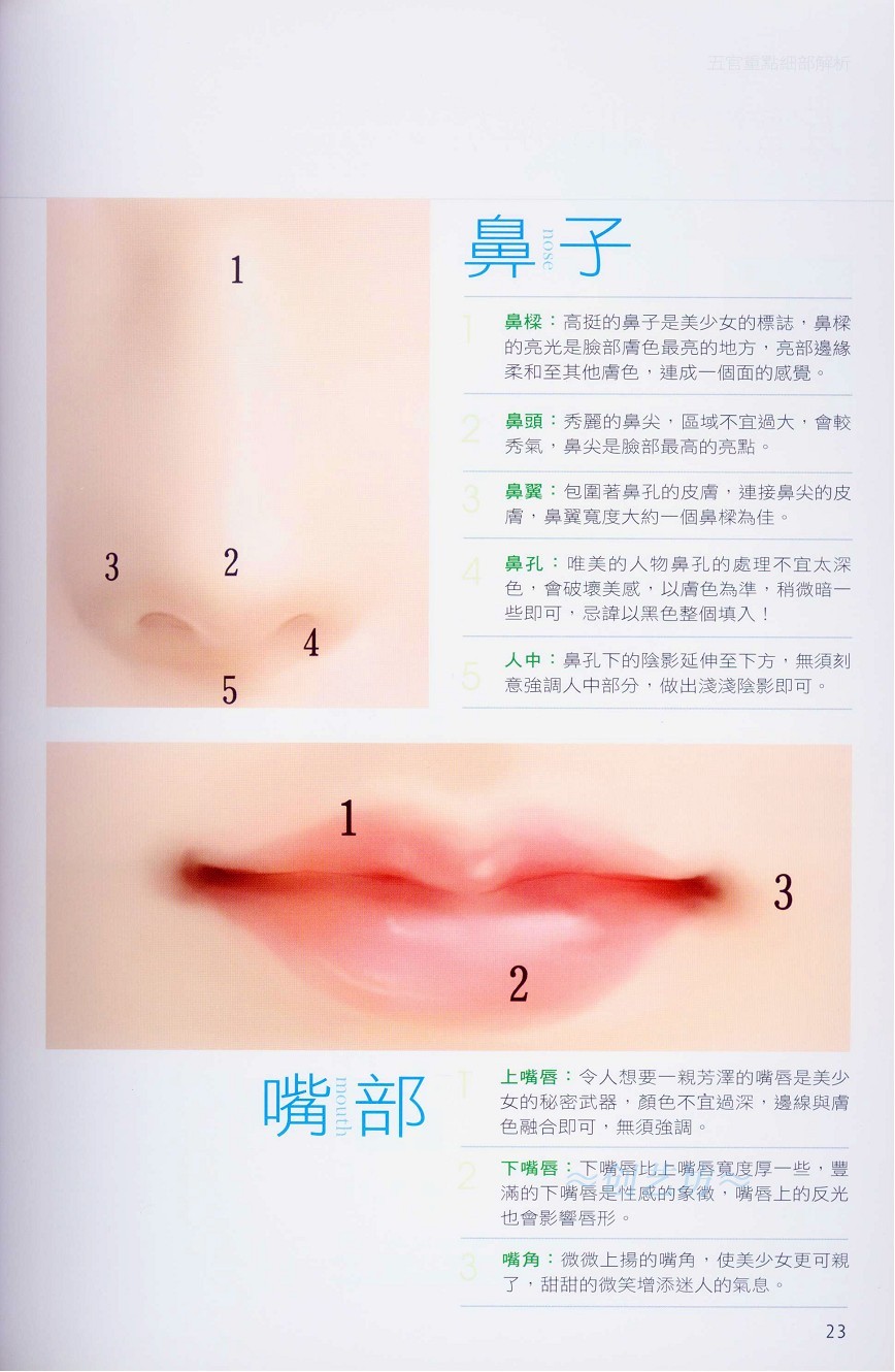 Painter五官细部绘画-插画王子技巧公开 我们 Painter教程23.jpg