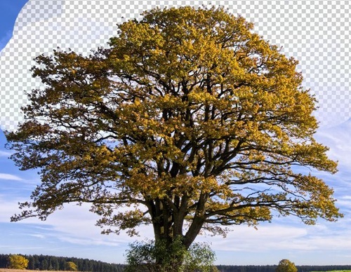 PS教程:Photoshop橡皮擦工具应用实例 小白必学!PS背景橡皮擦抠图技巧详解
