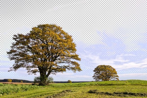 PS教程:Photoshop橡皮擦工具应用实例 小白必学!PS背景橡皮擦抠图技巧详解