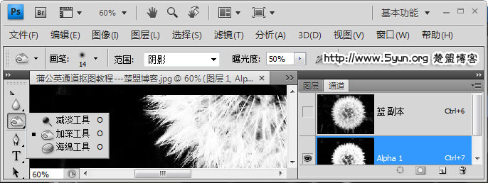 如何用ps通道来快速完成抠图蒲公英?
