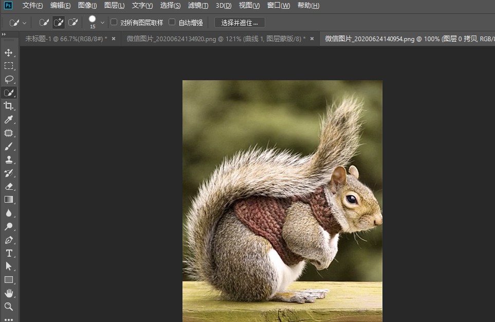 photoshop怎么快速抠动物毛发?