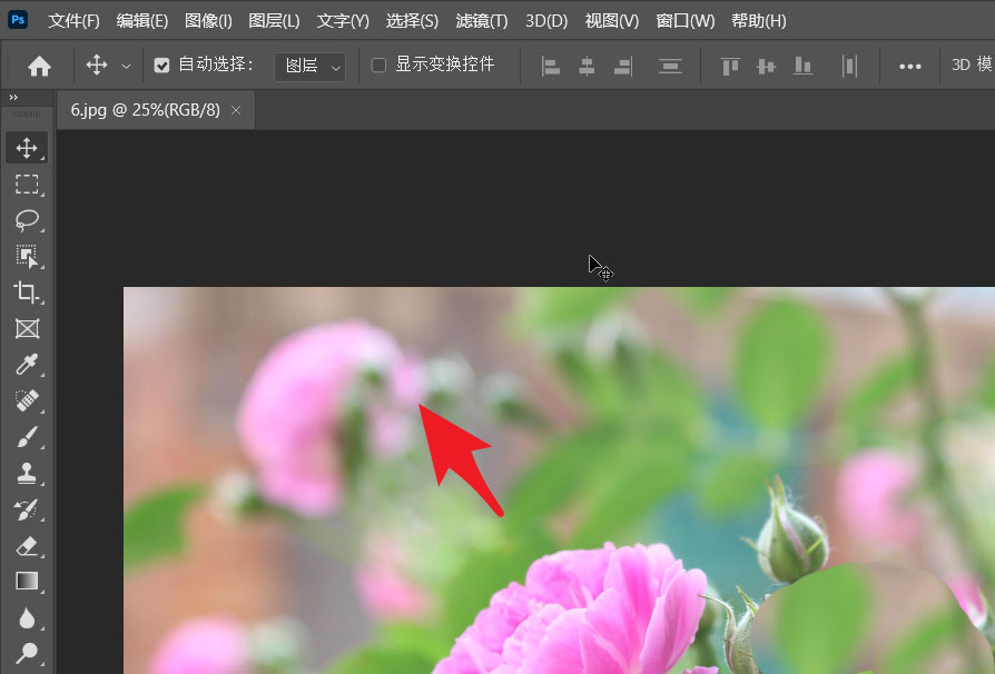 ps2021怎么用两个窗口打开同一张图片? 对相同图进行不同的处理的技巧