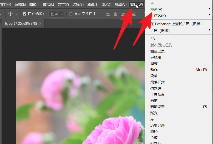 ps2021怎么用两个窗口打开同一张图片? 对相同图进行不同的处理的技巧