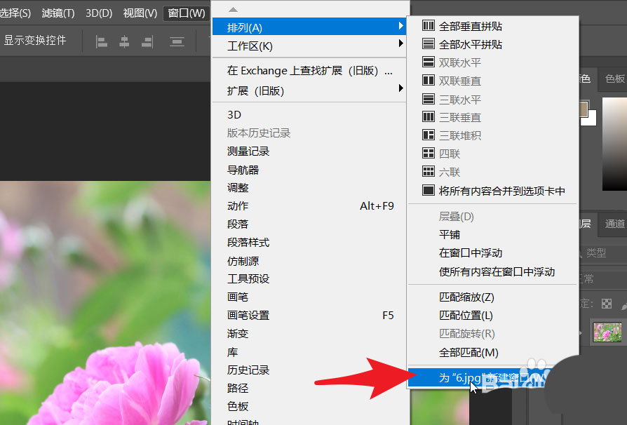 ps2021怎么用两个窗口打开同一张图片? 对相同图进行不同的处理的技巧