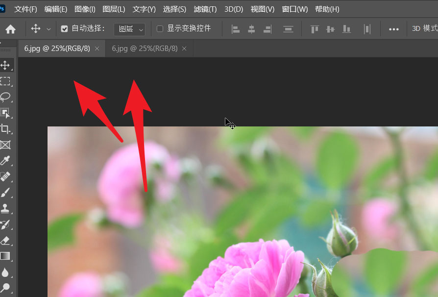 ps2021怎么用两个窗口打开同一张图片? 对相同图进行不同的处理的技巧